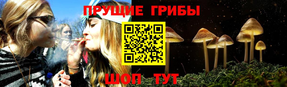 Псилоцибиновые грибы мухоморы Таганрог